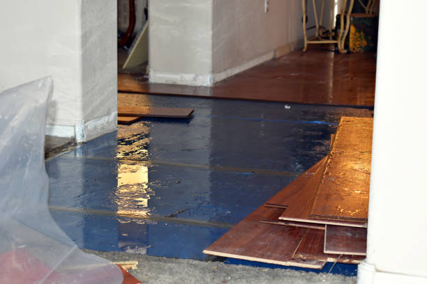 Professional Flood Cleanup technician working in Angola, NY